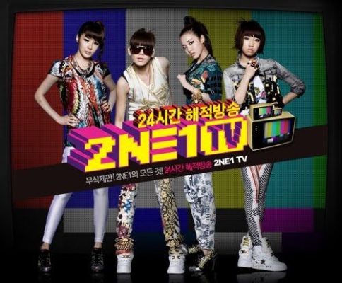 2NE1 TV: シーズン 1 (2009)