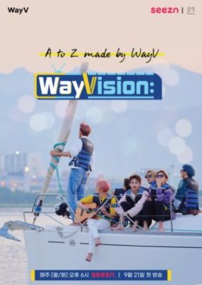 WayVision (2020)