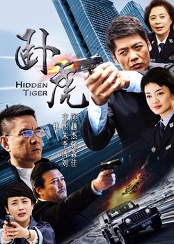 隠れ虎 (2016)