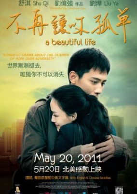 美しい人生 (2011)