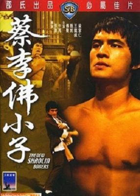 新少林拳ボクサー（1976年）