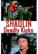 Shaolin Deadly Kicks (1982)