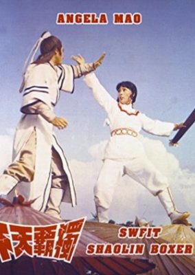 スイフト少林拳ボクサー (1978)