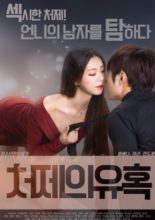Sister-in-law's Seduction (2017)