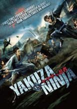 Yakuza vs. Ninja (2013)