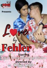 Love by Fehler (2021)