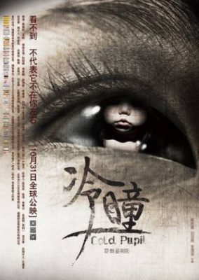 冷たい瞳 (2013)