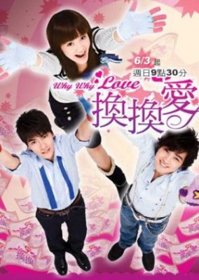Why Why Love (2007)