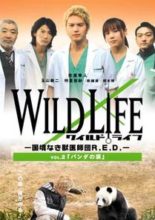 Wild Life (2008)
