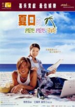 Summer Holiday (2000)
