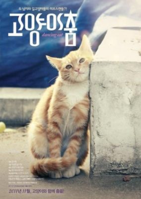 Dancing Cat (2011)