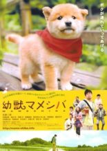Mameshiba Cubbish Puppy (2009)
