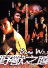 Born Wild (2001)