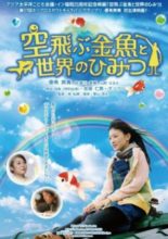 Flying Goldfish And The Secret Of The World (2013)