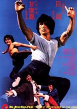 The Dragon's Snake Fist (1979)