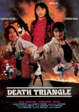 Death Triangle (1993)