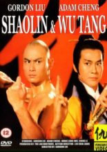 Shaolin and Wu Tang (1981)