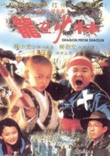 Dragon From Shaolin (1996)