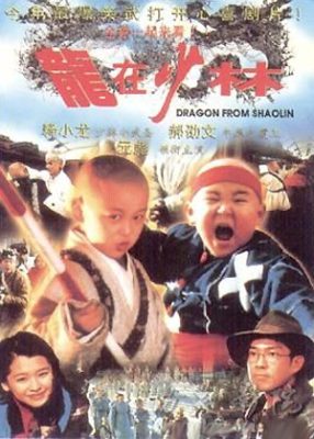 少林寺のドラゴン (1996)