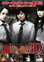 Gekijouban Hontou ni Atta Kowai Hanashi 3D (2010)