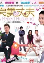 A Perfect Husband (2011)