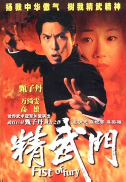 怒りの拳 (1995)