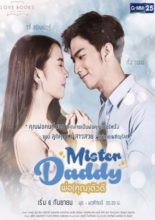 Love Books Love Series: Mister Daddy (2017)