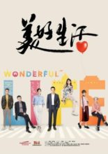 Wonderful Life (2018)
