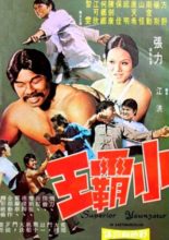 Karado: The Kung Fu Flash (1973)