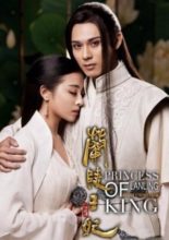 Princess of Lanling King: Special - Gong Suo Version (2016)