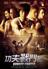 Kung Fu Fighter (2013)