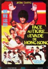Bruce Lee's Dragons Fight Back (1985)