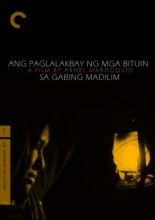 Ang paglalakbay ng mga bituin sa gabing madilim (2012)