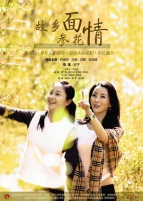 故郷の顔姉妹の心情 (2017)