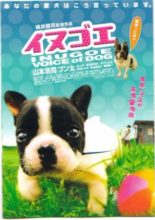 Voice of Dog (2006)
