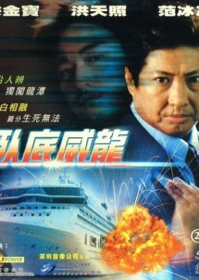 覆面捜査官 (2003)