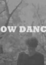 Slow Dances (2013)