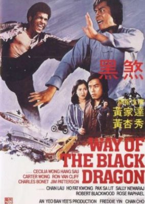 黒龍の道 (1978)