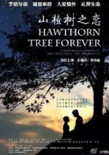 Hawthorn Tree Forever (2012)