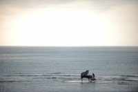 海のピアノ (2011)