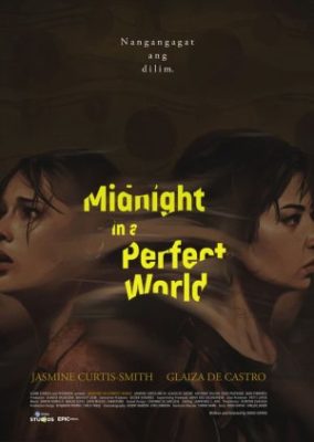 真夜中の完璧な世界 (2020)