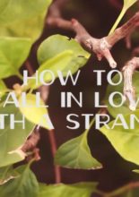 How To Fall In Love With A Stranger (2012)