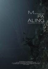 Manong ng Paaling (2017)