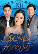 The Promise of Forever (2017)
