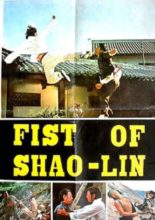 Fist of Shaolin (1974)
