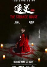 The Strange House (2015)
