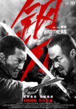 Brothers (2016)