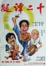 My Kung Fu Twelve Kicks (1979)