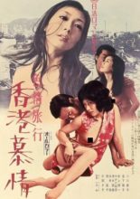 Erotic Journey: Love Affair in Hong Kong (1973)