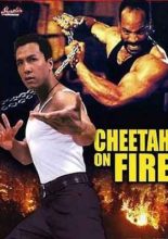Cheetah On Fire (1992)